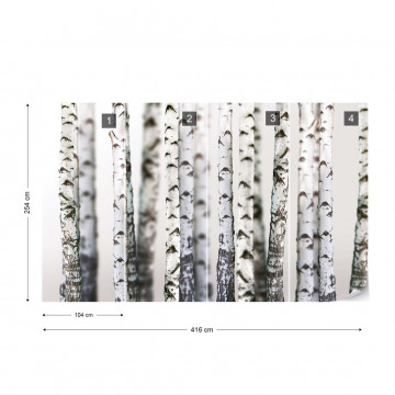Birch Trees Forest Nature Texture Photo Wallpaper Wall Mural - Img 4