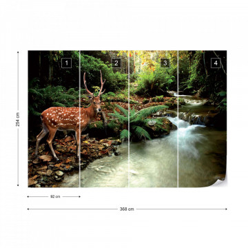 Deer In Forest Photo Wallpaper Wall Mural - Img 10