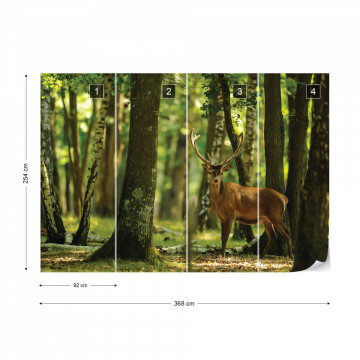 Deer In The Forest Nature Photo Wallpaper Wall Mural - Img 7