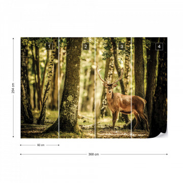 Deer In The Forest Nature Photo Wallpaper Wall Mural - Img 9