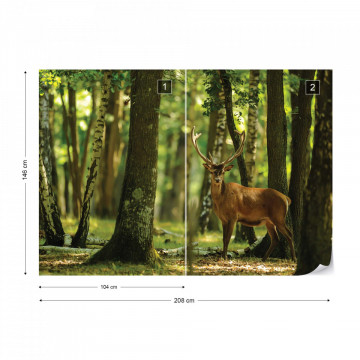 Deer In The Forest Nature Photo Wallpaper Wall Mural - Img 12