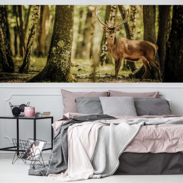 Deer In The Forest Nature Photo Wallpaper Wall Mural - Img 16