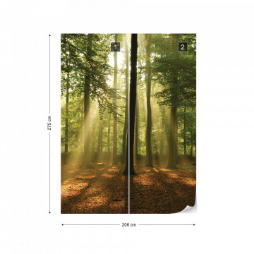 Enchanted Forest Photo Wallpaper Wall Mural - Img 10