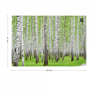 Forest Birch Trees Woods Photo Wallpaper Wall Mural - Img 11