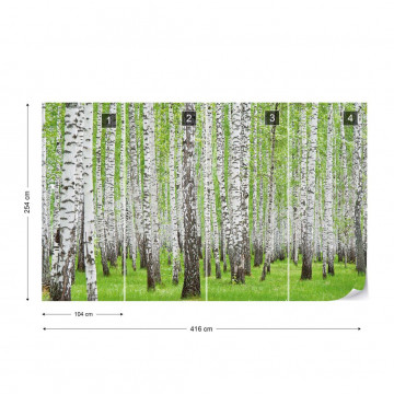 Forest Birch Trees Woods Photo Wallpaper Wall Mural - Img 4
