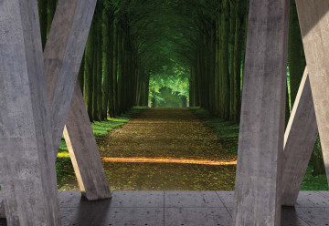Forest Path 3D Modern View Concrete Photo Wallpaper Wall Mural - Img 6
