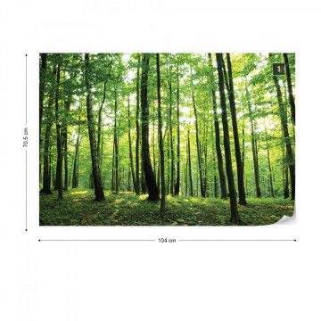 Forest Trees Green Nature Photo Wallpaper Wall Mural - Img 1