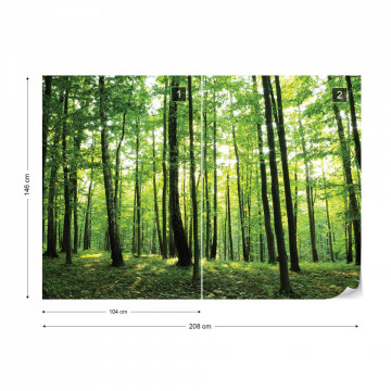 Forest Trees Green Nature Photo Wallpaper Wall Mural - Img 13