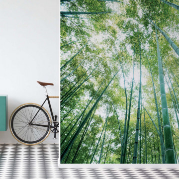 Forest Woods Photo Wallpaper Wall Mural - Img 19