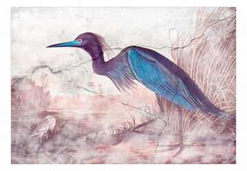 Fototapet - Cioară albastră - gravură cu pasăre de John James Audubon - Img 2