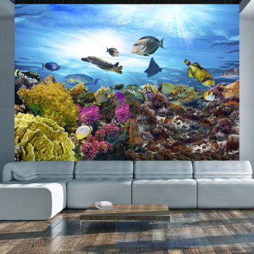Fototapet - Coral reef - Img 1