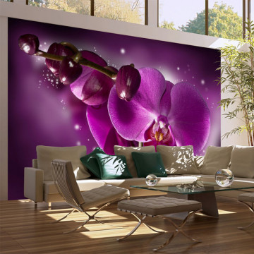 Fototapet - Fairy tale and orchid - Img 1
