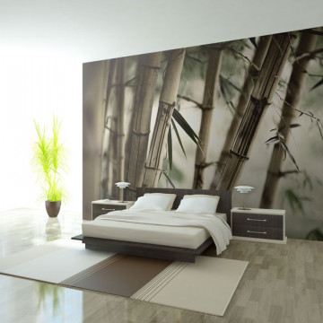 Fototapet - Fog and bamboo forest - Img 1