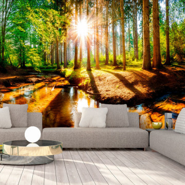 Fototapet - Marvelous Forest - Img 1