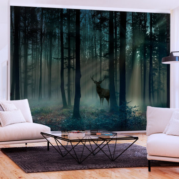 Fototapet - Mystical Forest - Third Variant - Img 1