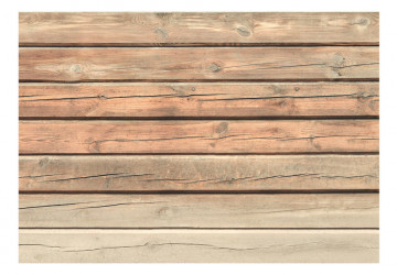 Fototapet - Old Pine - Img 2