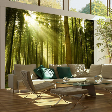 Fototapet - Pine forest - Img 1