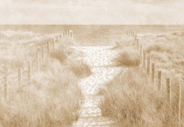 Fototapet - Potecă spre Mare – Efect Vintage Sepia - Img 7