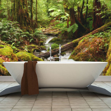 Fototapet - Rainforest - Img 1