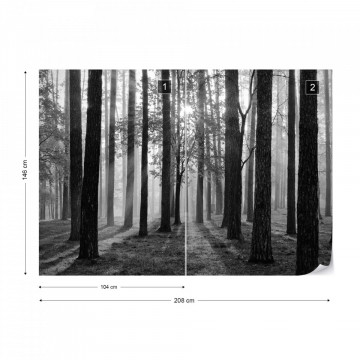 Fototapet - Răsărit de Soare în Pădure – Alb-Negru - Img 14