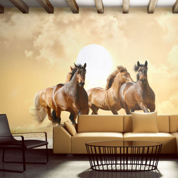 Fototapet - Running horses - Img 1