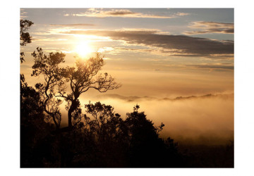 Fototapet - Sky and trees - Img 2
