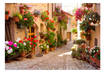 Fototapet - The Alley in Spello (Italy) - Img 2