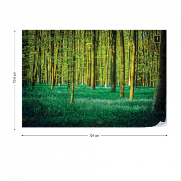 Green Forest Trees Photo Wallpaper Wall Mural - Img 1