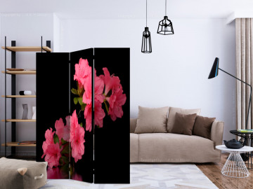 Paravan - Azalea in Black [Room Dividers] - Img 2