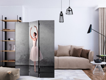 Paravan - Ballerina in Degas paintings style [Room Dividers] - Img 2
