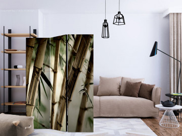 Paravan - Fog and bamboo forest [Room Dividers] - Img 2