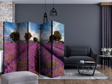 Paravan - Lavender field in Provence, France II [Room Dividers] - Img 2