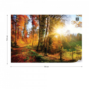 Sunrise In Autumn Forest Photo Wallpaper Wall Mural - Img 1
