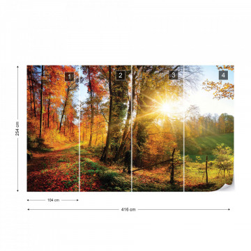 Sunrise In Autumn Forest Photo Wallpaper Wall Mural - Img 17