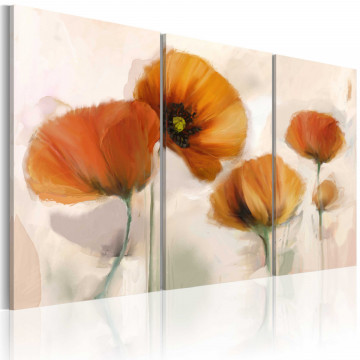 Tablou - Artistic poppies - triptych - Img 1