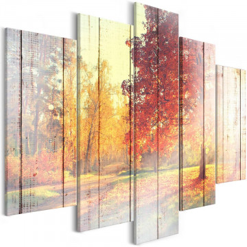 Tablou - Autumn Sun (5 Parts) Wide - Img 1