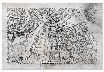 Tablou - Copenhagen Plan (1 Part) Wide - Img 2