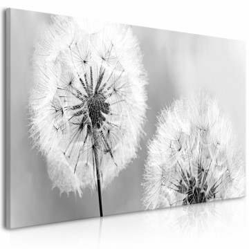 Tablou - Fluffy Dandelions (1 Part) Grey Wide - Img 1