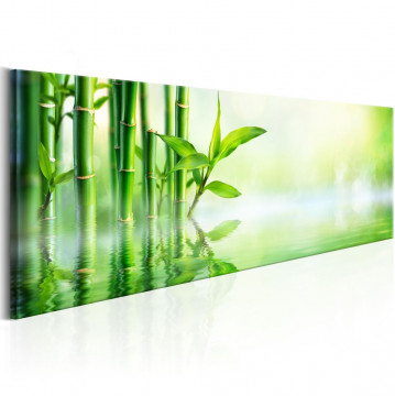 Tablou - Green Bamboo - Img 1