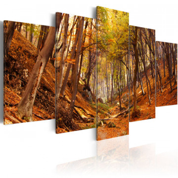Tablou - Orange autumn - Img 1