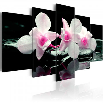 Tablou - Rest of orchids - Img 1