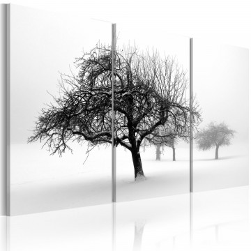 Tablou - Trees submerged in white - Img 1