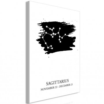 Tablou - Zodiac Signs: Sagittarius (1 Part) Vertical - Img 1