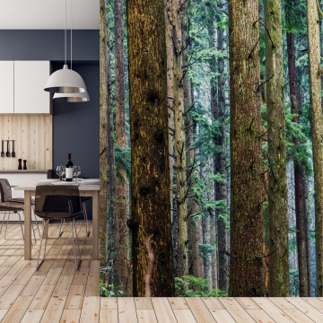 Tree Textures In The Forest Photo Wallpaper Wall Mural - Img 15
