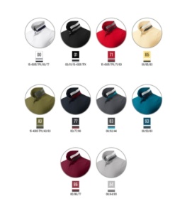Tricou polo pentru bărbaţi Collar Up 256 - Img 24
