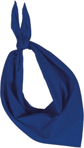 FIESTA - BANDANA - Img 3