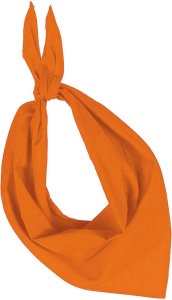 FIESTA - BANDANA - Img 4