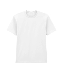 SOFTSTYLE™ MIDWEIGHT ADULT NO LABEL ENZYME WASH T-SHIRT - Img 4