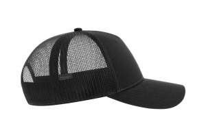 ZION - Img 13