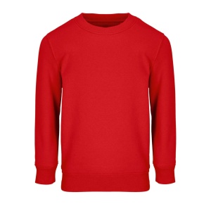 SOL'S COLUMBIA KIDS' - KIDS' SWEATSHIRT - Img 5